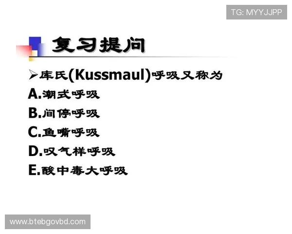 B体育app登录遇到问题怎么办详细解决方案与常见故障排查技巧